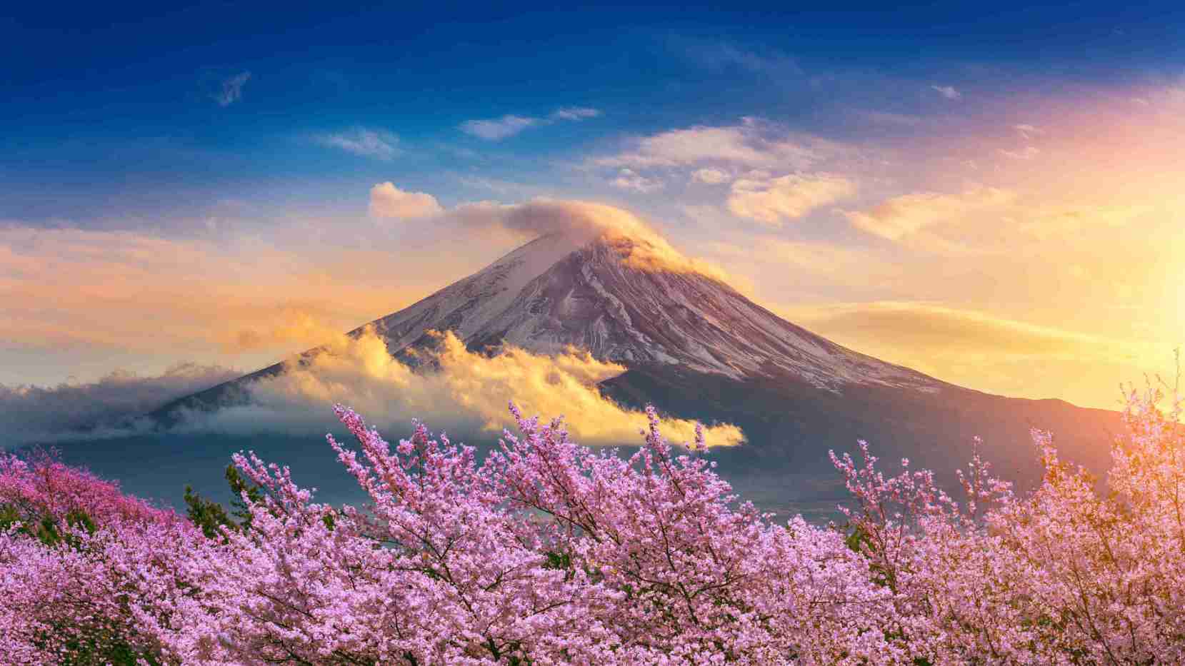 Monte Fuji con flores de cerezo en primavera