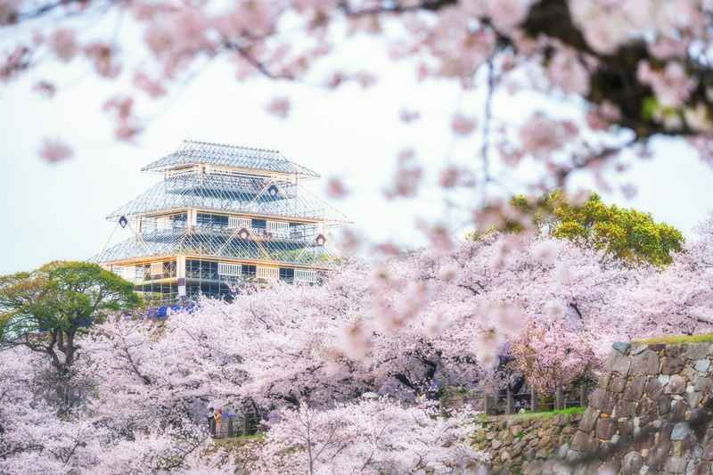 Ruinas del castillo de Fukuoka en el parque Maizuru