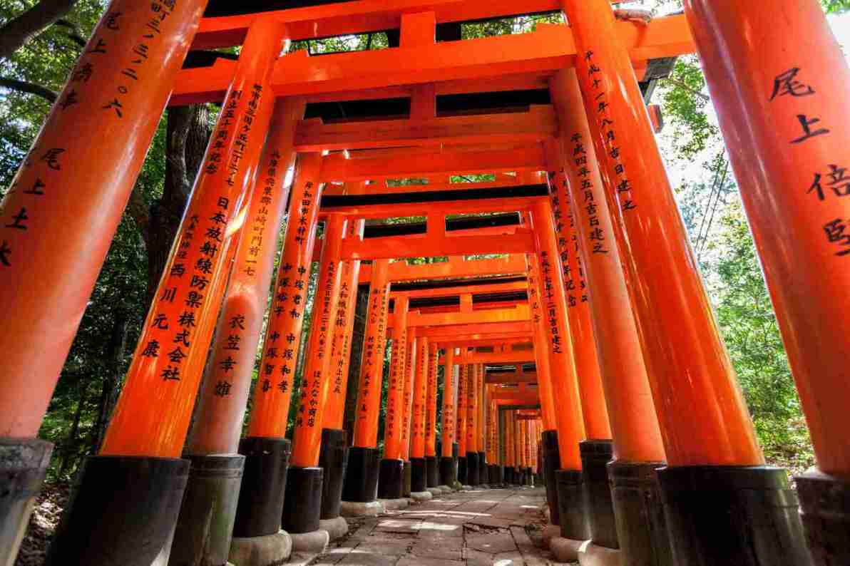 Camino de torii rojos en Fushimi Inari
