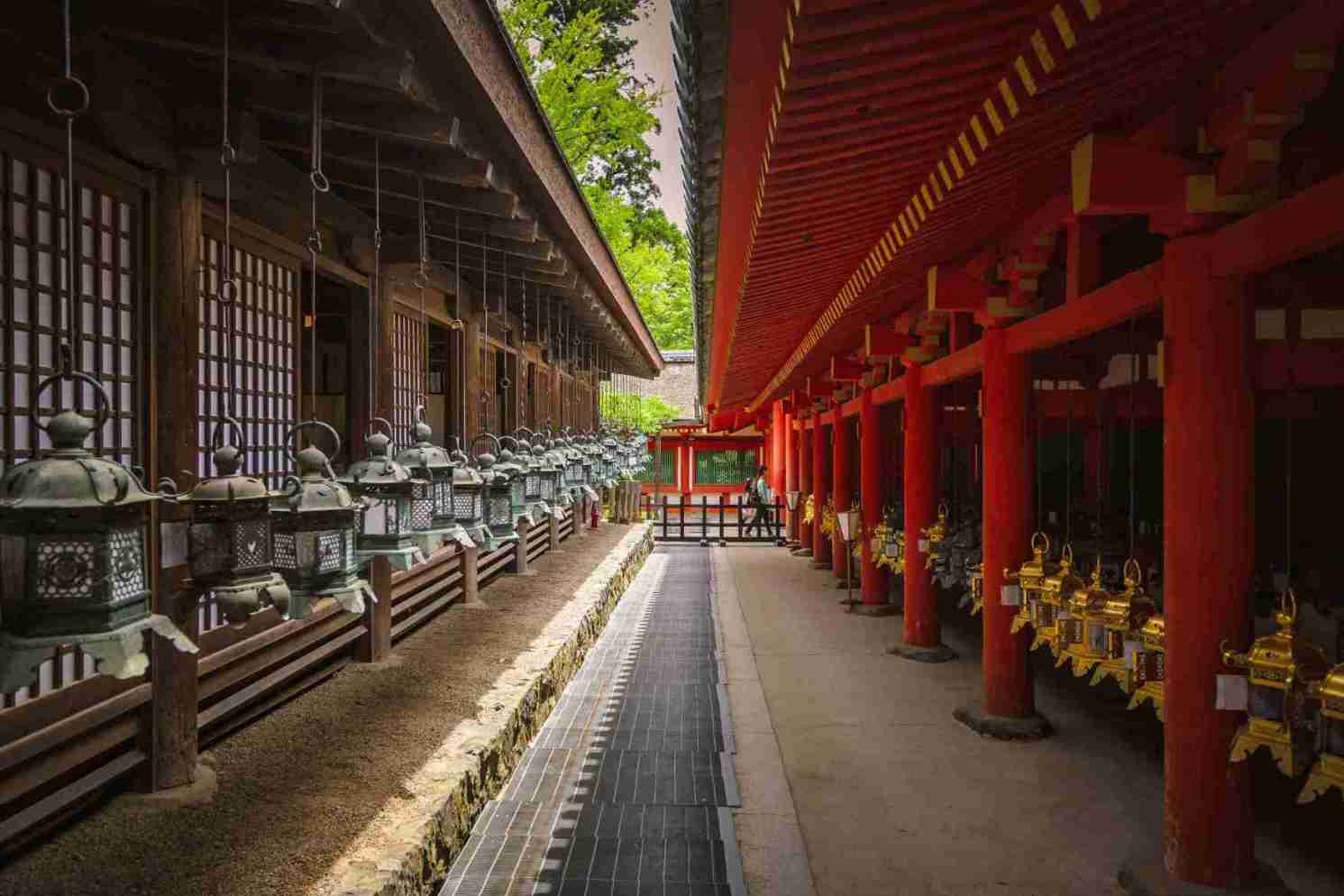 Santuario Kasuga con linternas tradicionales en Nara