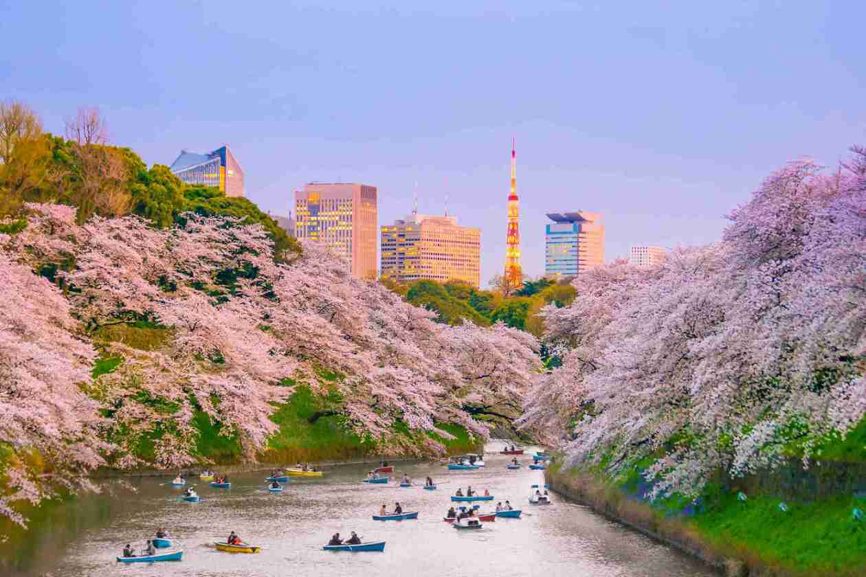 Camino arbolado en el Parque Ueno de Tokio